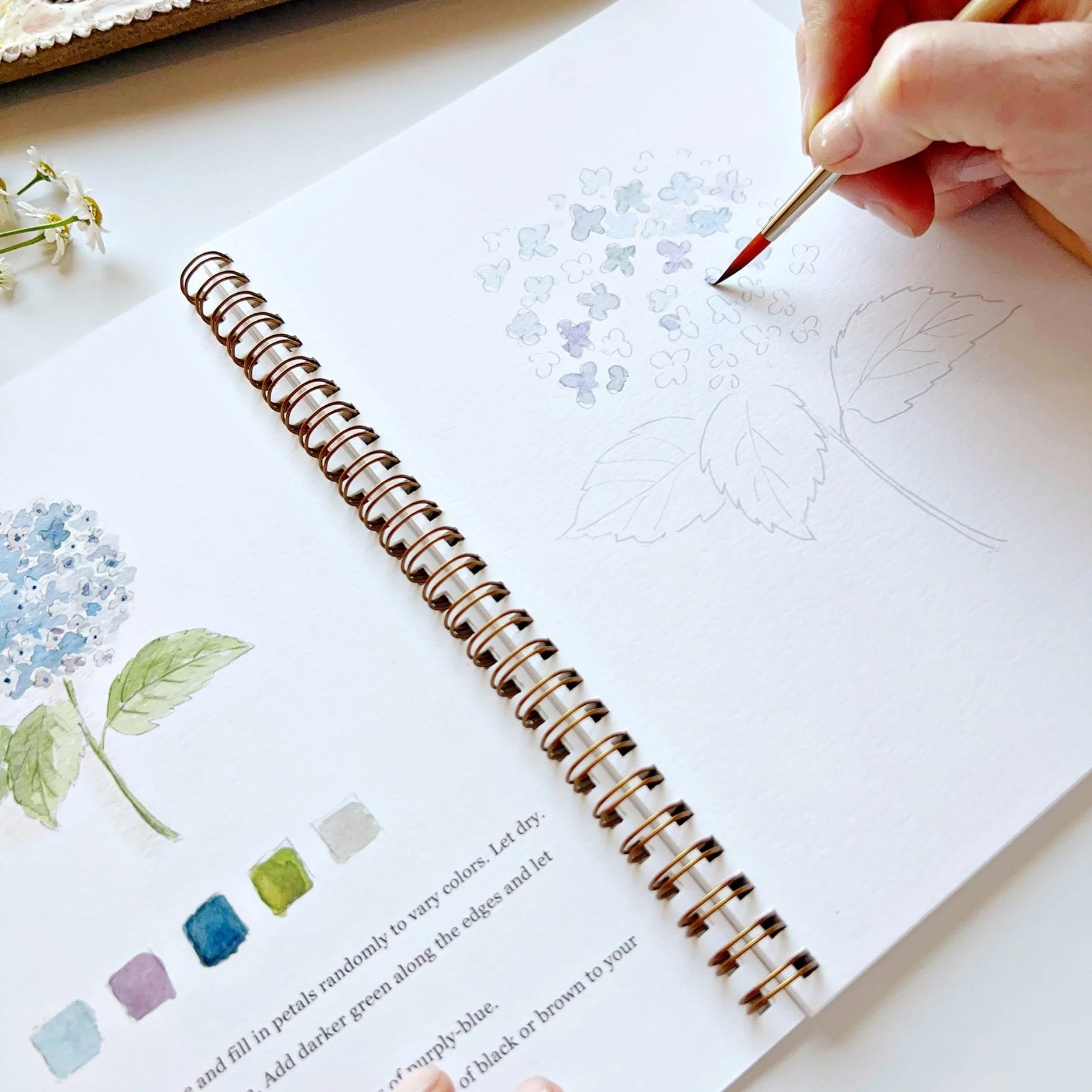 Emily Lex Learn to Watercolour Collection at Home Smith