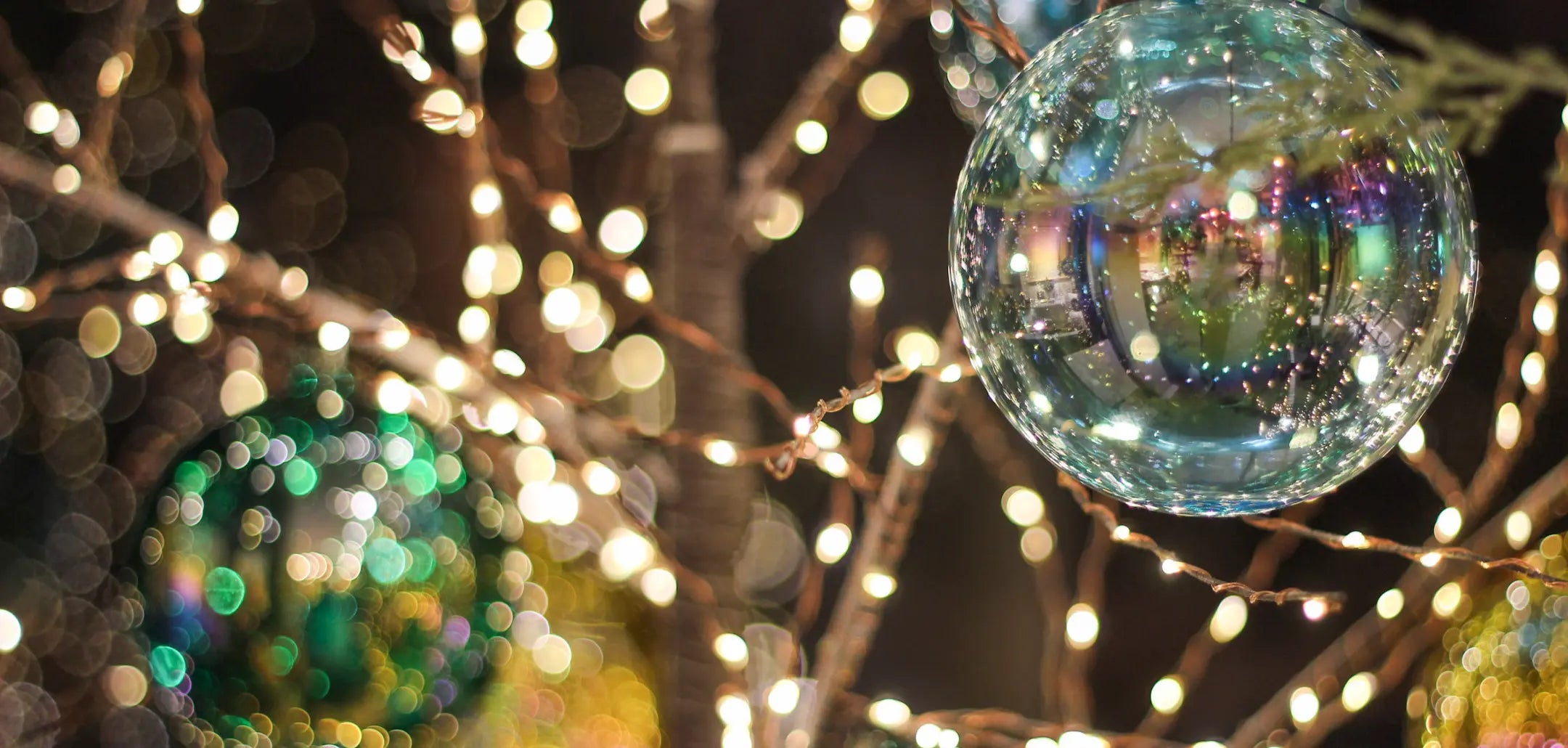 Holiday Lights Home Smith