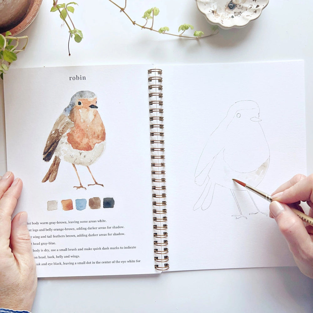 Birds Watercolour Workbook by Emily Lex at Home Smith