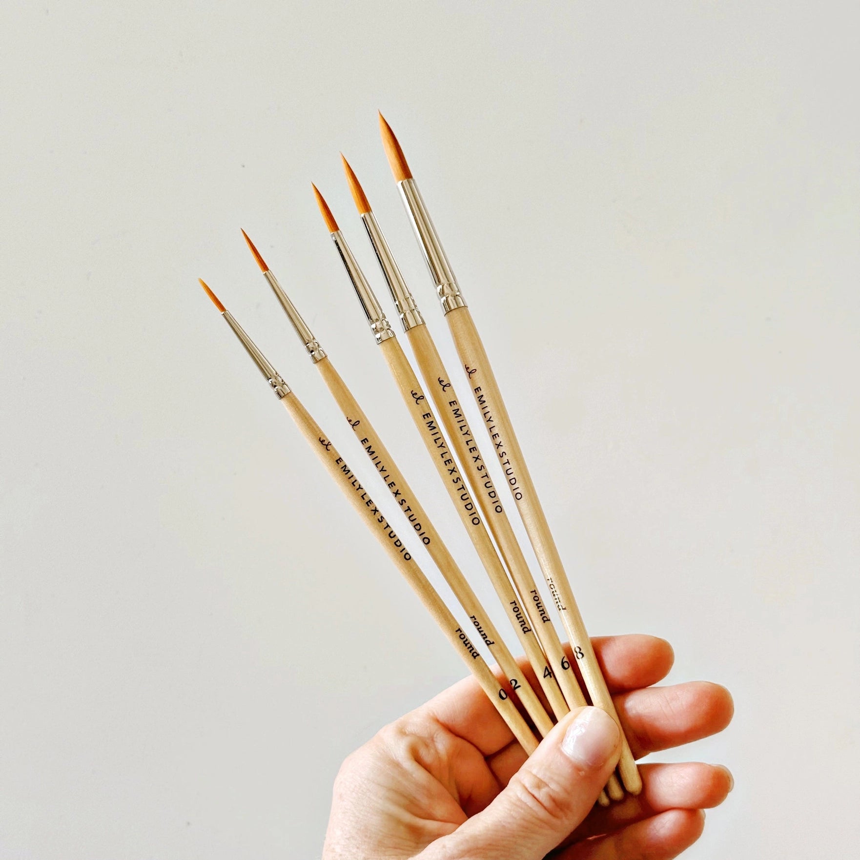 High Quality Watercolour Paintbrush Set