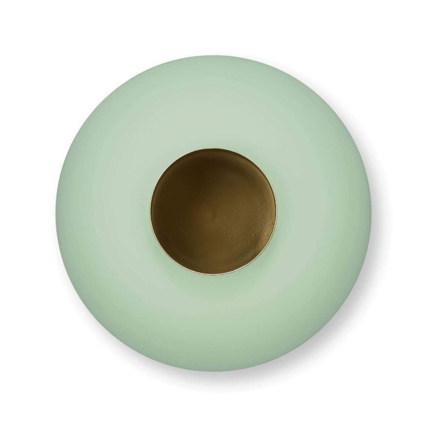 Round green object with a central hole on a white background