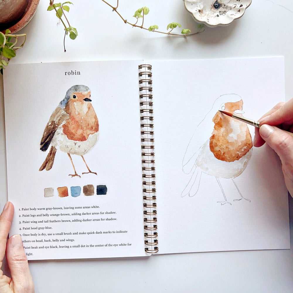 Birds Watercolour Workbook by Emily Lex at Home Smith