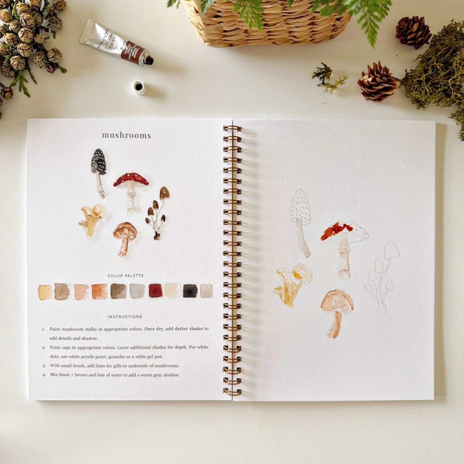 Open book with illustrations of mushrooms on a white surface with decorative elements.