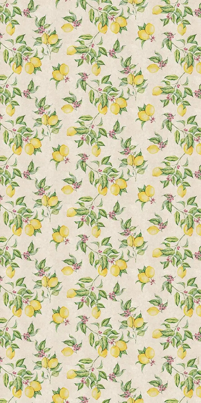 Home Smith Adama Limones Vinyl Rug Adama Vinyl Mats