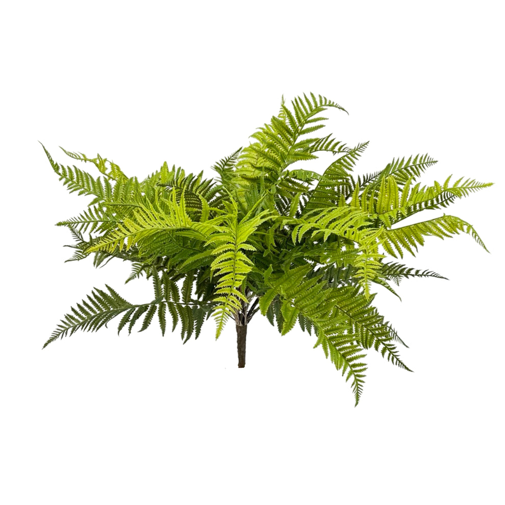 faux lady fern bush at Home Smith