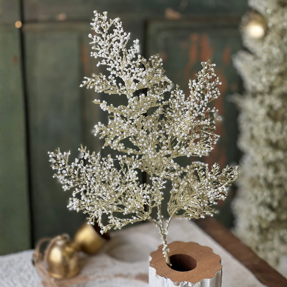 Bedazzle Berry Cypress Spray at Home Smith