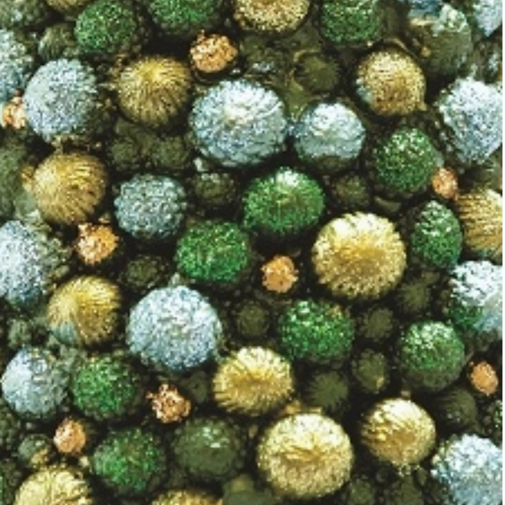 Close up of the Bolsie Cone Tree with Star in Evergreen at Home Smith