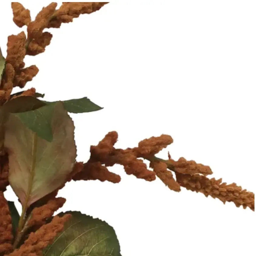 Home Smith Bronze Hanging Amaranthus Winward Stems, Blooms & Branches