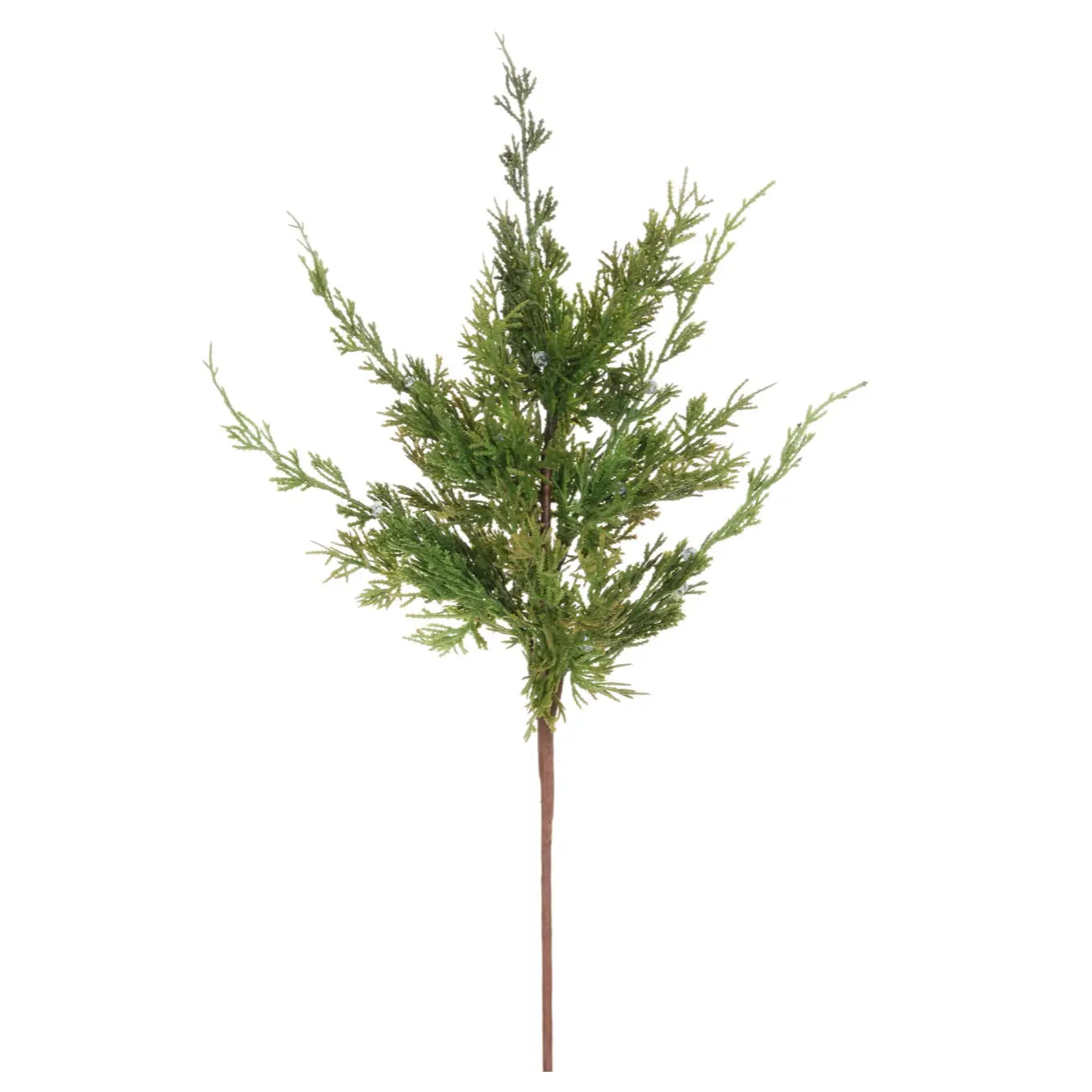 Cedar Juniper Branch - 24" - Home Smith