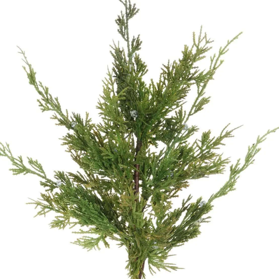 Cedar Juniper Branch - 24" - Home Smith