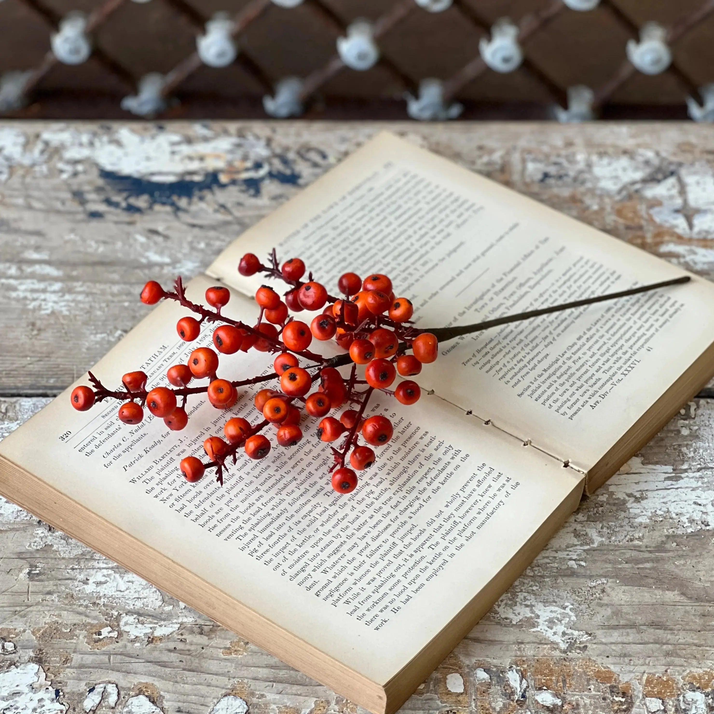 Home Smith Cranberry Pick in Orange Winward Stems, Blooms & Branches