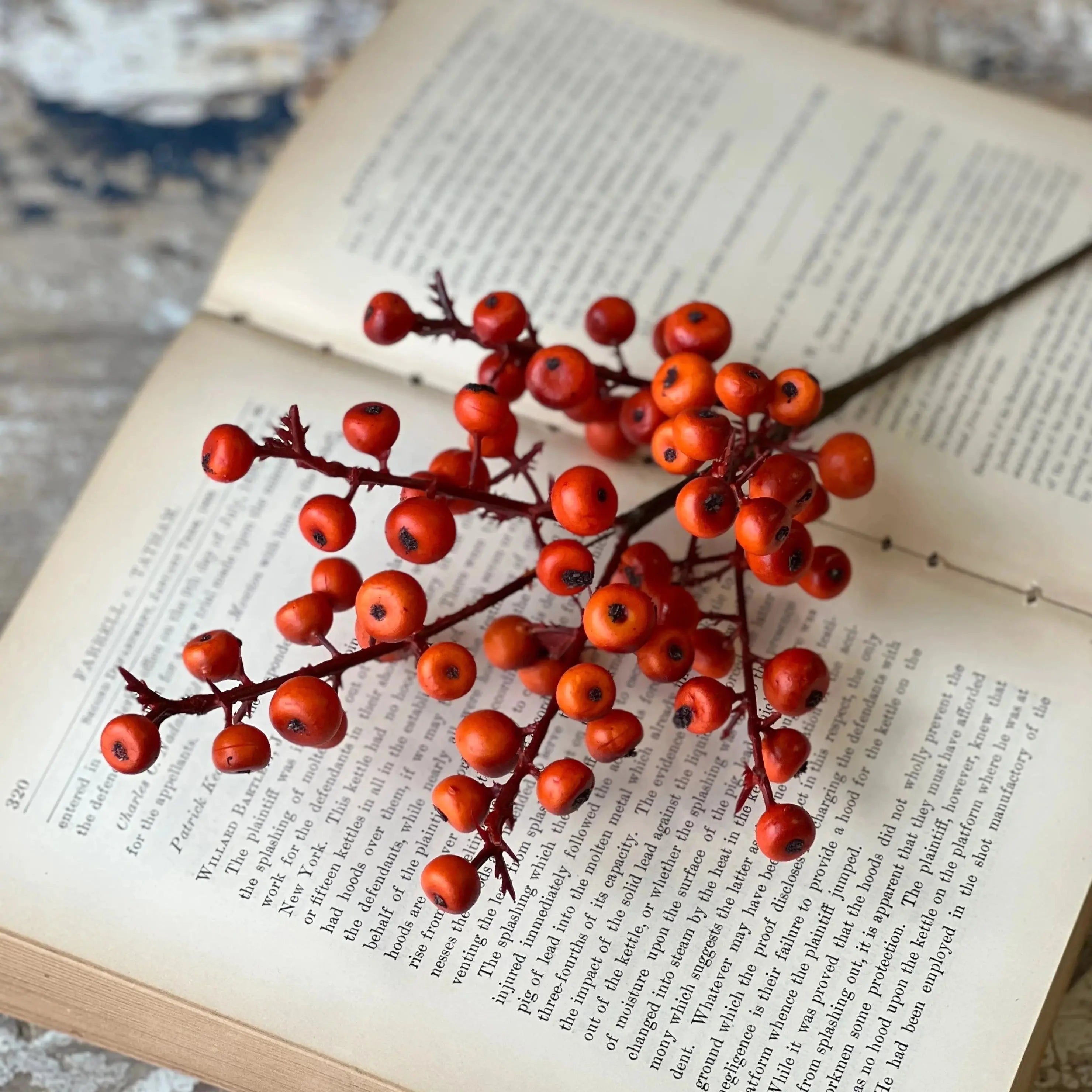 Home Smith Cranberry Pick in Orange Winward Stems, Blooms & Branches