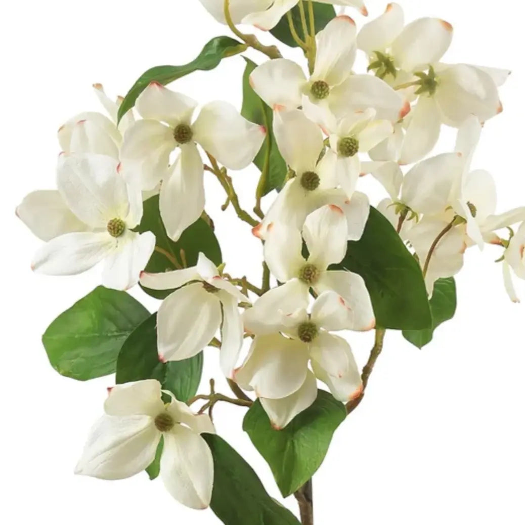 Dogwood Branches 28" in Creamy White - Home Smith