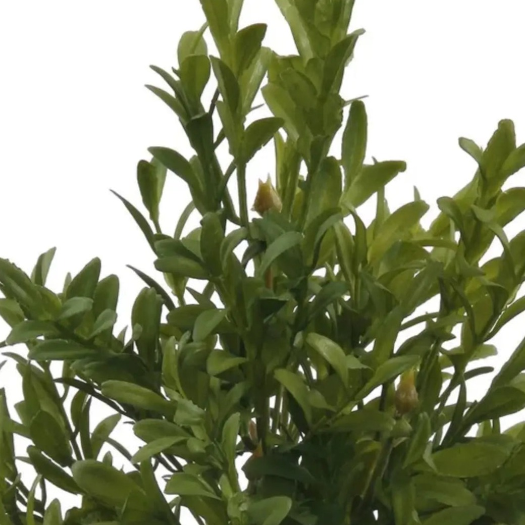 Home Smith English Boxwood Bundles Winward Stems, Blooms & Branches