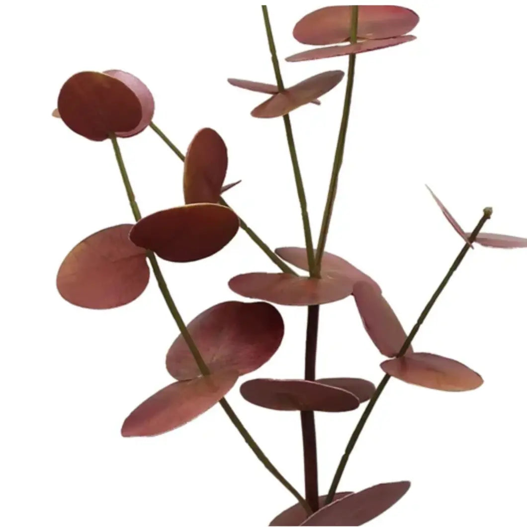 Home Smith Eucalyptus Spray 28" in Deep Rust Winward Stems, Blooms & Branches