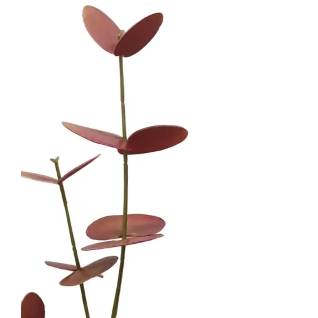 Home Smith Eucalyptus Spray 28" in Deep Rust Winward Stems, Blooms & Branches