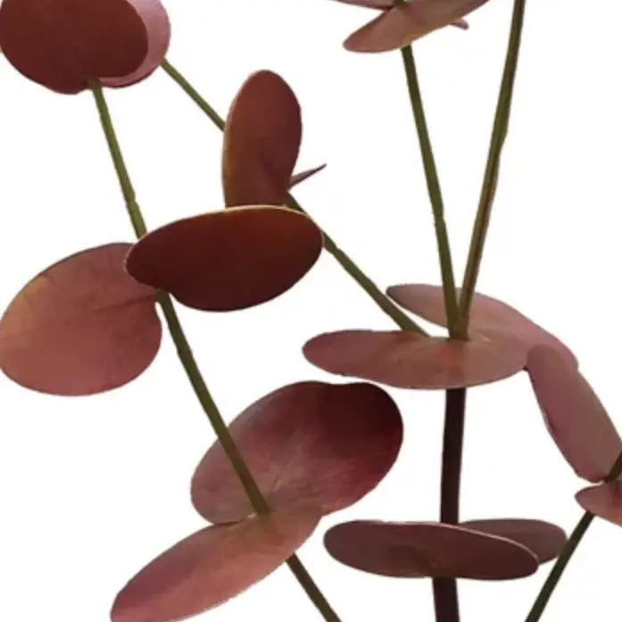 Home Smith Eucalyptus Spray 28" in Deep Rust Winward Stems, Blooms & Branches