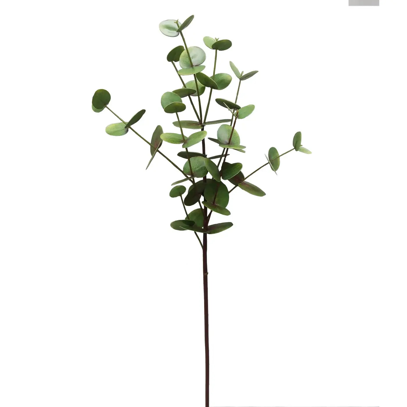 Eucalyptus Stem 33.5" in Light Green Burgundy - Home Smith