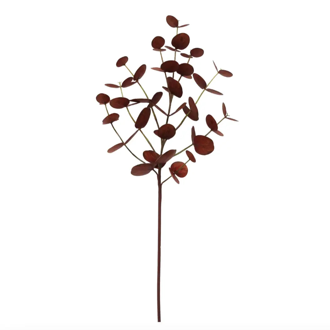 Eucalyptus Stem 33.5" in Brown Home Smith