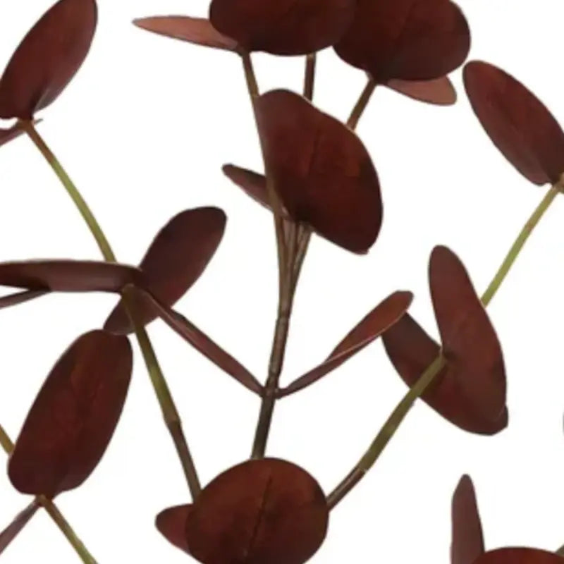 Eucalyptus Stem 33.5" in Brown Home Smith