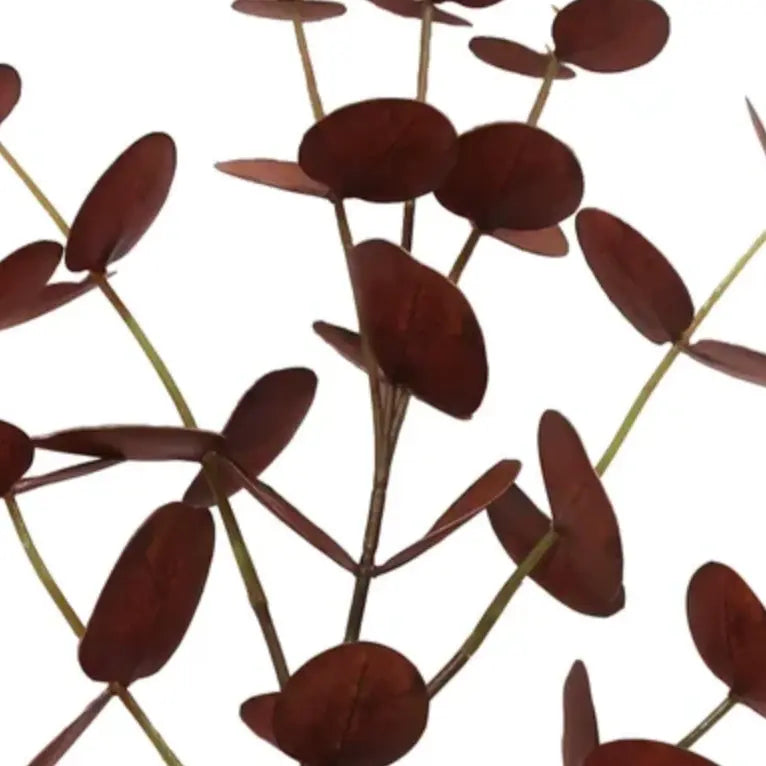 Eucalyptus Stem 33.5" in Brown Home Smith