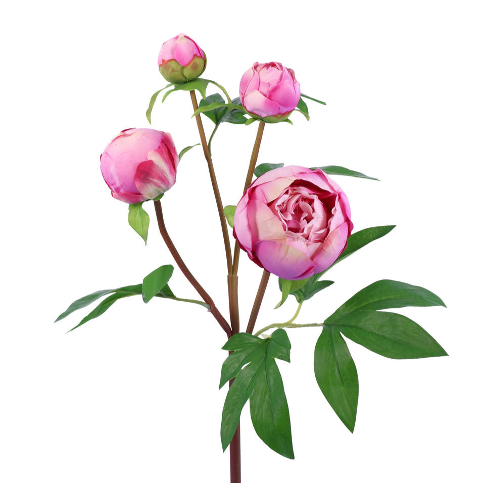 Real Touch Peony Bud Spray at Home Smith