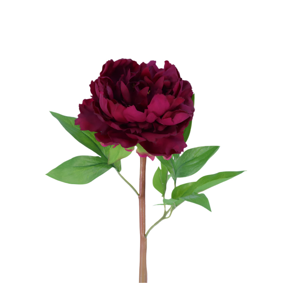 Artificial Dark Red Peony Bloom at Home Smith