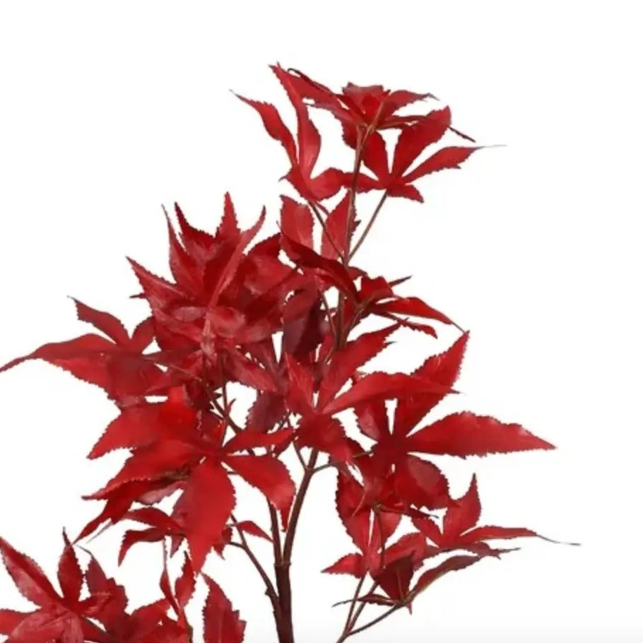 Home Smith Fall Maple Leaf Spray in Burgundy Winward Stems, Blooms & Branches