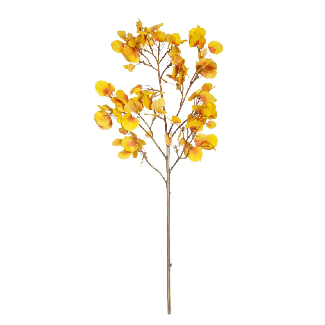 Home Smith Fall Yellow Aspen Branch Winward Stems, Blooms & Branches