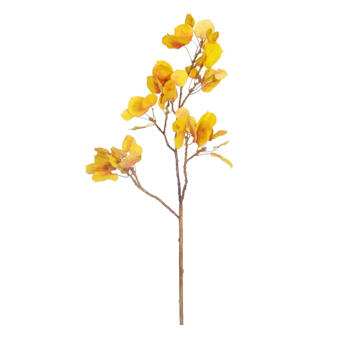 Home Smith Fall Yellow Aspen Pick Winward Stems, Blooms & Branches