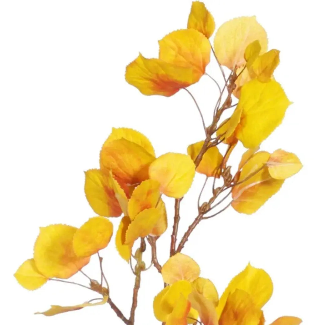 Home Smith Fall Yellow Aspen Pick Winward Stems, Blooms & Branches