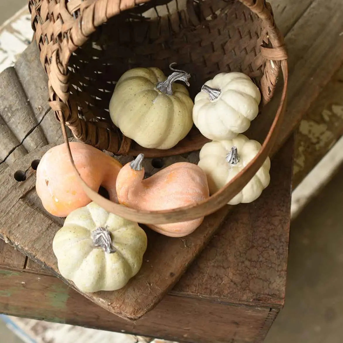 Home Smith Fall's Folly Mini Pumpkins Lancaster Home Seasonal Decor - Fall