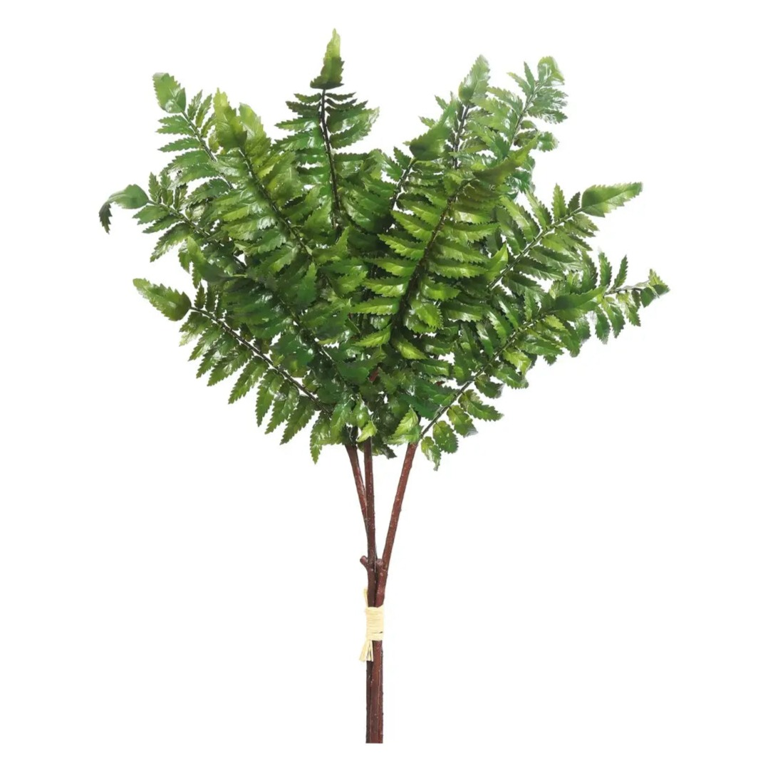 Home Smith Fern Leaf Bunch Winward Stems, Blooms & Branches