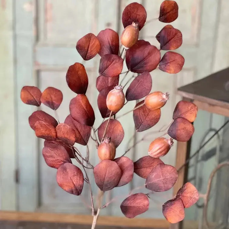 Home Smith Foxfire Eucalyptus Spray Lancaster Home Stems, Blooms & Branches