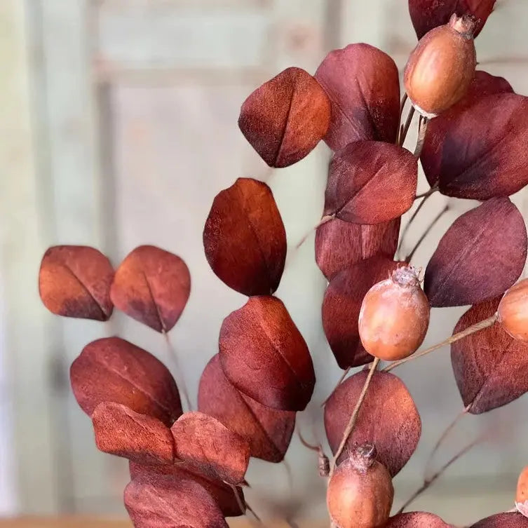 Home Smith Foxfire Eucalyptus Spray Lancaster Home Stems, Blooms & Branches