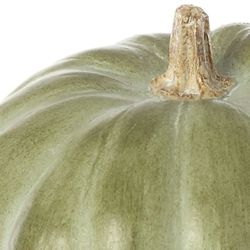 Home Smith Green Whitewashed Pumpkin Allstate Floral Seasonal Decor - Fall