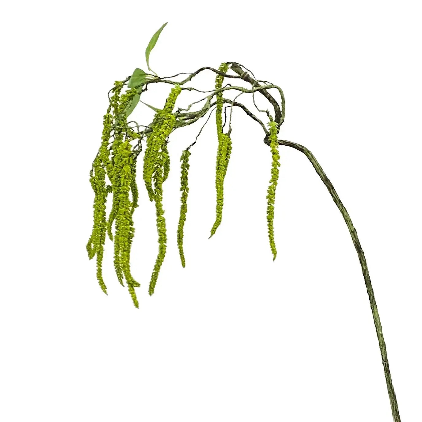 Hanging Amaranthus Spray 31" - Home Smith