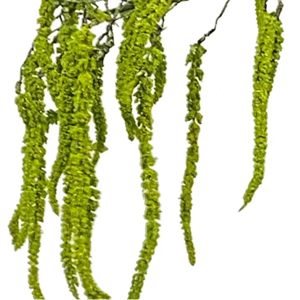 Hanging Amaranthus Spray 31" - Home Smith
