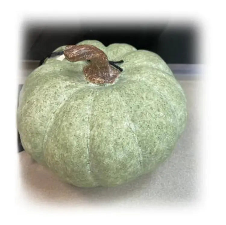 Home Smith Heirloom Pumpkin in Whitewashed Green - Medium Allstate Floral Seasonal Decor - Fall