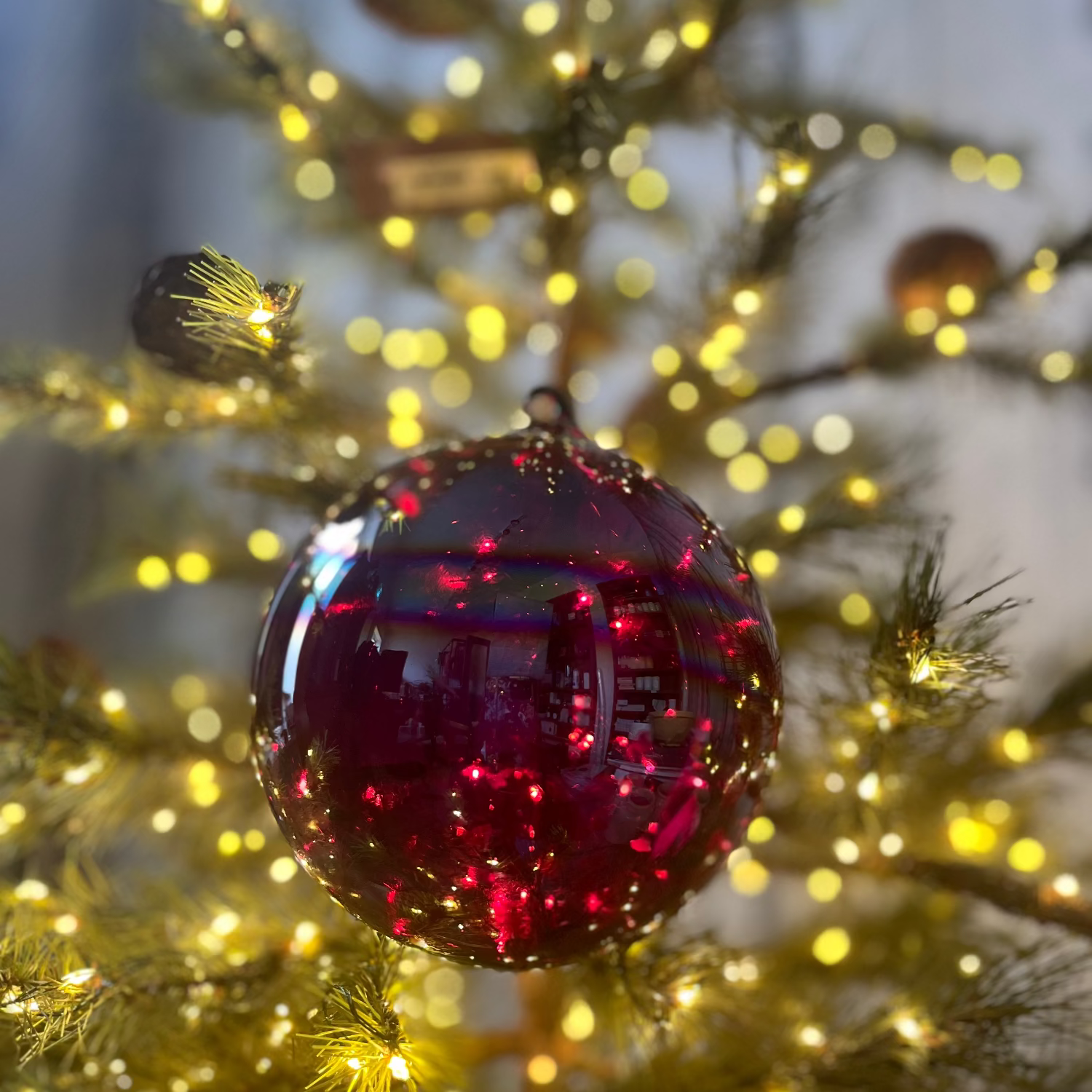 Red glass ornament on a decorated Christmas tree with lights