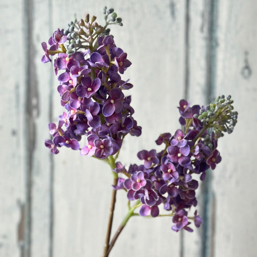 Faux High Quality Lilac Sprays at Home Smith