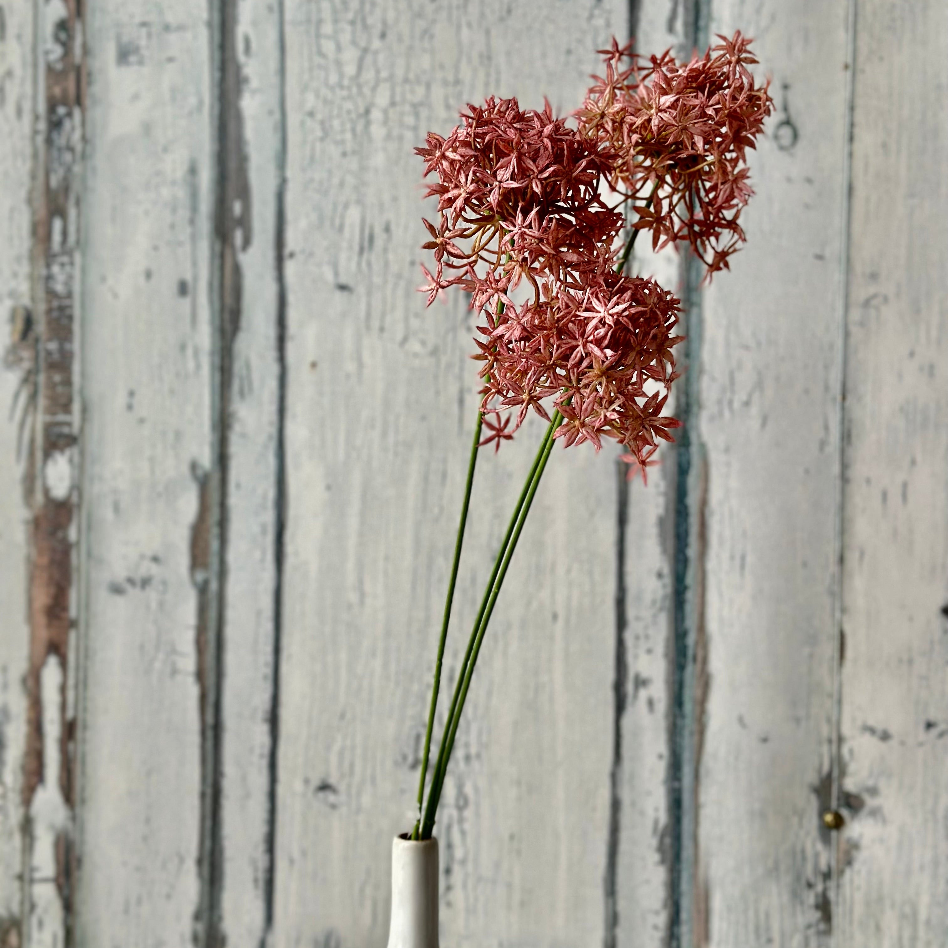 Faux Allium Spray at Home Smith