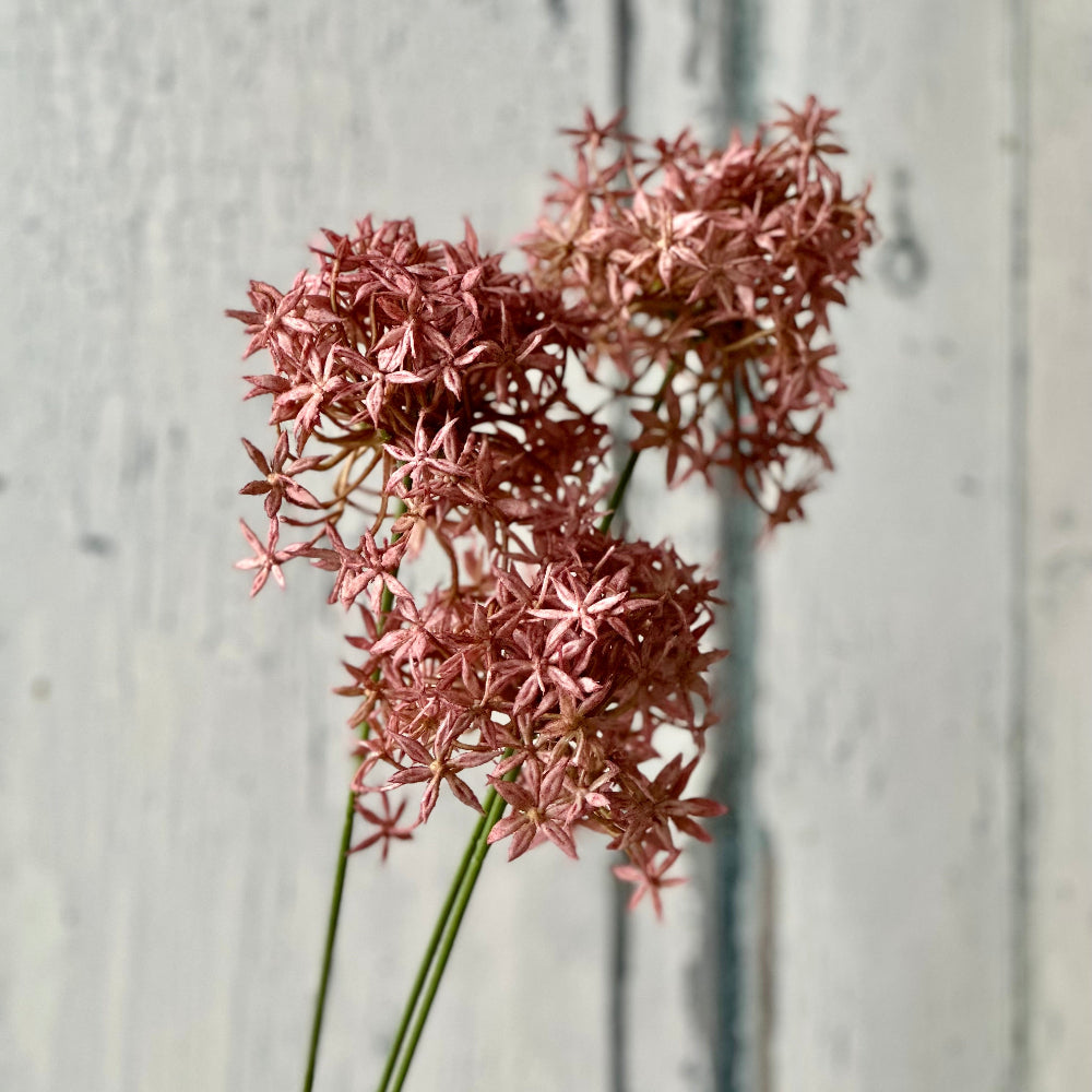 Faux Allium Spray at Home Smith