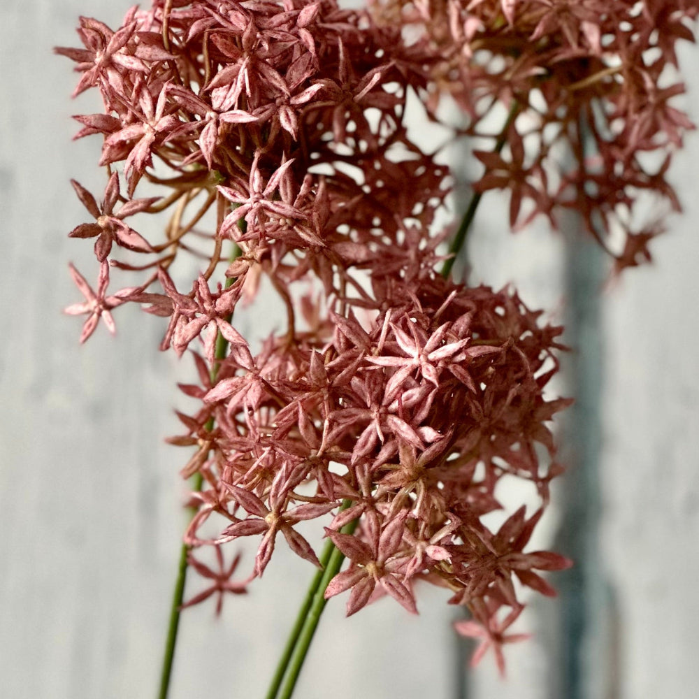 Faux Allium Stem at Home SMith