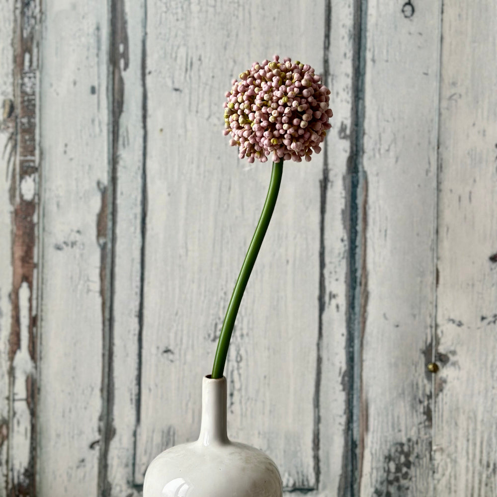 Faux Allium Bud Stem at Home Smith