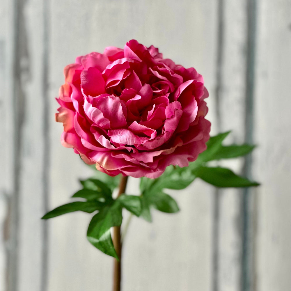 Faux Real Touch Pink Peony Stem at Home Smith