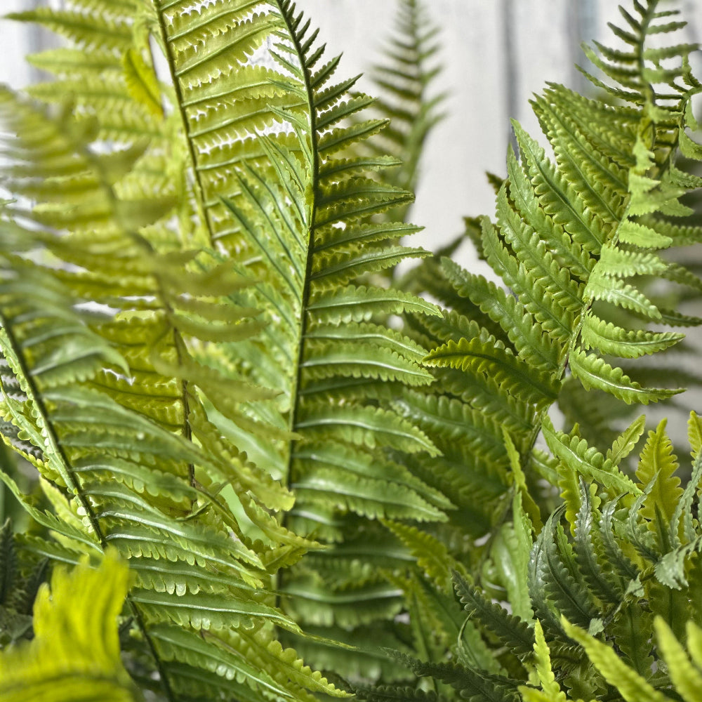 Detail of Faux Lady Fern Bush at Home Smith