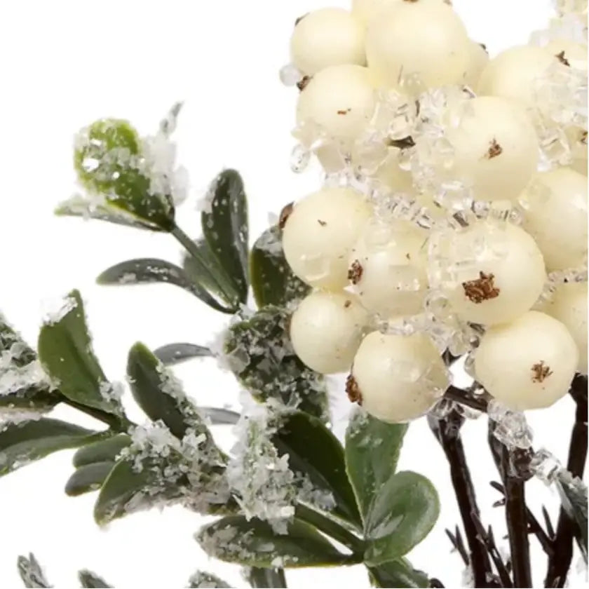White Iced Berry Pick at Home Smith
