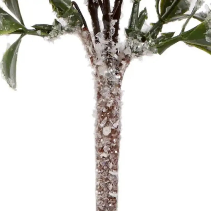 Detail of Iced Berry Pick at Home Smith