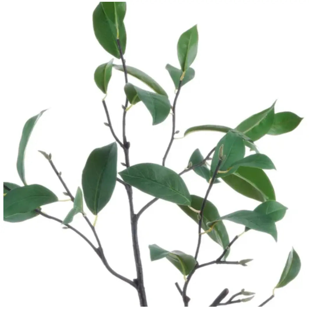 Laurel Leaf Branch 37" - Home Smith